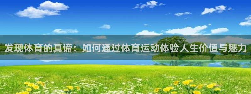 球速体育