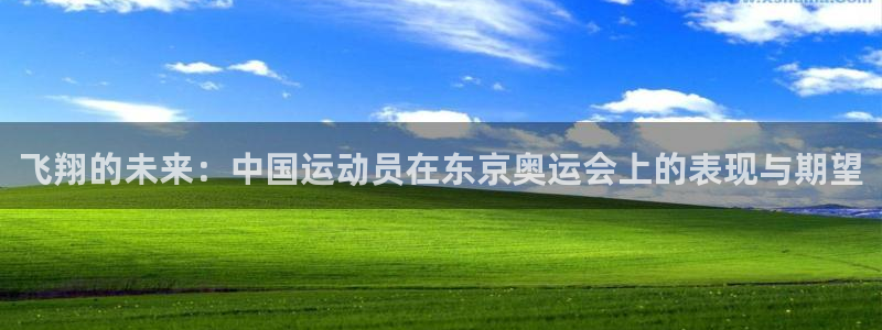 球速体育