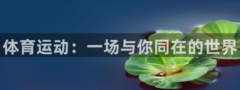 球速体育