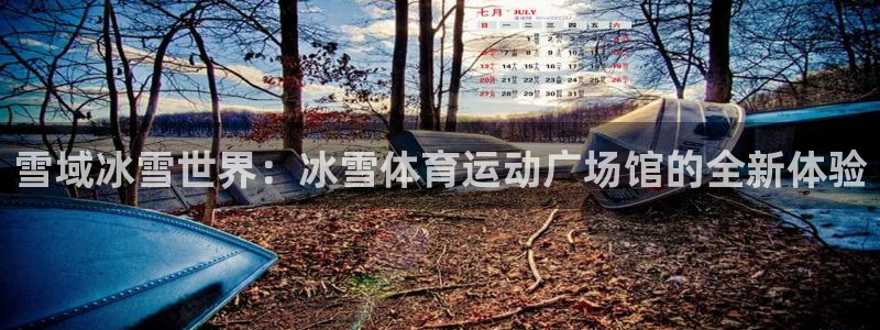 球速体育