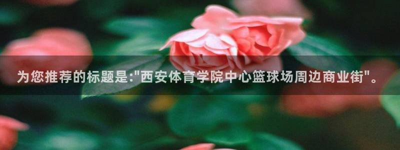 球速体育