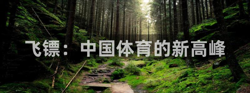 球速体育