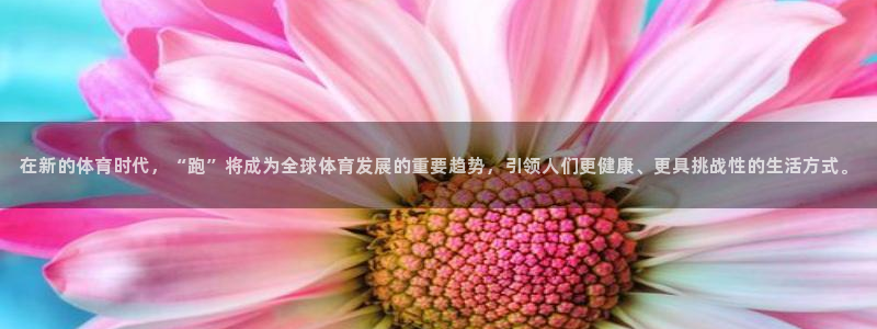 球速体育