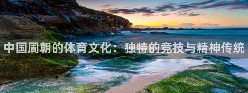 球速体育