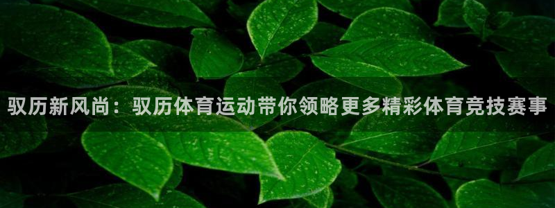 球速体育