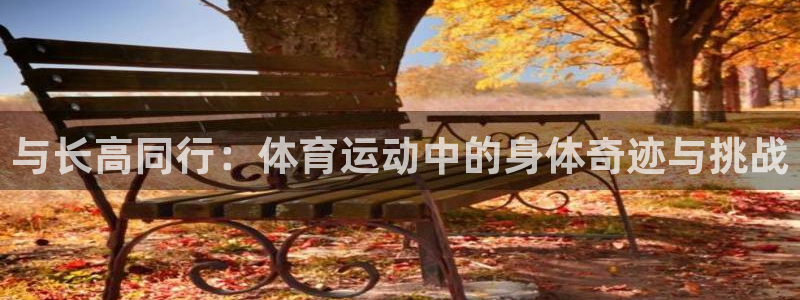 球速体育