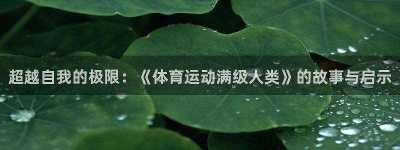 球速体育
