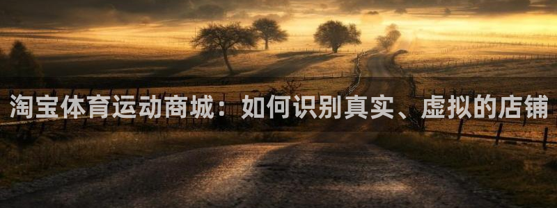 球速体育