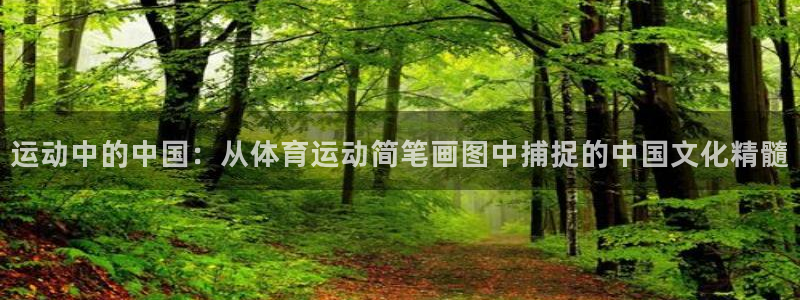 球速体育
