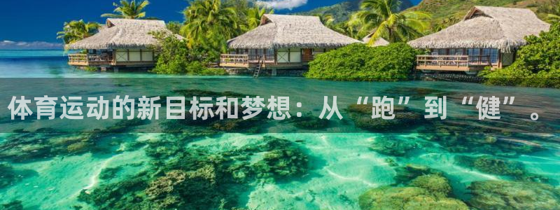 球速体育