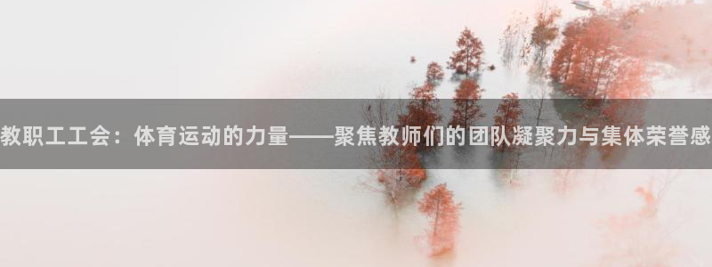 球速体育